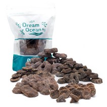 DO 프랙 베이스 10Pcs 산호 성형락 해수어 바이오 락