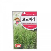 [다이소]초록스타로즈마리-43140