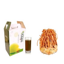 신선약초 국산 동충하초즙 62포, 1개, 110ml