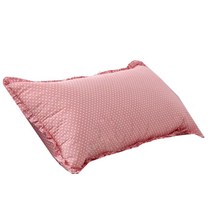 이투라이프 가든 대쿠션커버