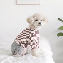 울리 반려견 포켓 올인원, 그레이