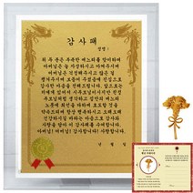 럭키심볼 크리스탈 감사패 8G 시부모님 감사패 + 24K골드 카네이션 전자파 스티커