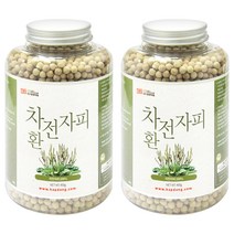 갑당약초 차전자피환, 2개, 400g
