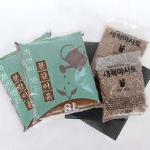 모리앤 실속만점 분갈이세트, 2세트