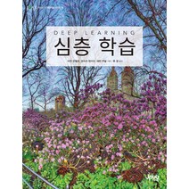 [제이펍]심층 학습, 제이펍, 에런 쿠빌