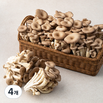 국내산 느타리버섯, 2KG, 4개