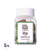 딜리셔스마켓 스타아니스홀 천연향신료, 20g, 5개