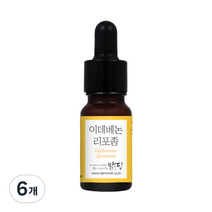 맑을담 이데베논 리포좀 원액, 10ml, 6개