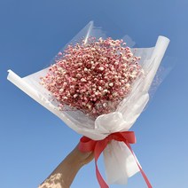 안개꽃여자친구선물 최저가로 저렴한 상품의 가성비와 싸게파는 상점 추천