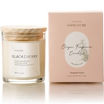 에인디 핸드메이드 소이 심지없는 캔들 워머전용 280g, 블랙체리, 1개