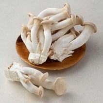 국내산 친환경 머쉬마루버섯, 600g, 1개