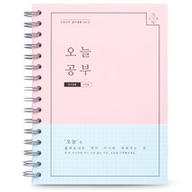 리훈 오늘공부 스프링 공시생용 6개월용 스터디플래너, 핑크