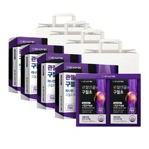 GC녹십자웰빙 관절연골엔 구절초 세트 + 쇼핑백, 30정, 8개