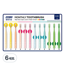 2080 미세모 월별칫솔 Season2, 12개입, 6세트