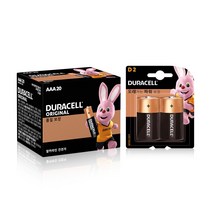 듀라셀 알카라인 건전지 AAA 20p + 알카라인 D 2p 세트, 1세트