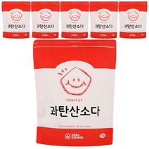 엘앤에스 과탄산소다 산소계표백제, 5kg, 6개