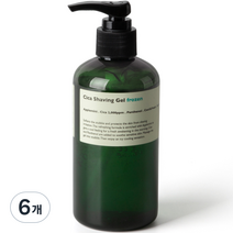 레이지소사이어티 프로즌 시카 쉐이빙젤, 6개, 250ml