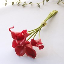 리버그린 조화 카라가지 6개묶음, 레드