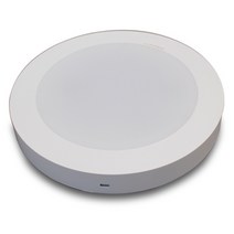 LUMISO LED 원형 직부등 12W, 주광색