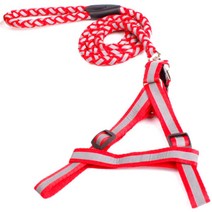 아울리빙 애견 하네스 리드줄 M, 레드, 1개