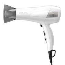 파테크 싸이클론V2 전문가용 헤어드라이기 R22W 2200W, 화이트