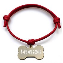 펫츠룩 굿모닝 레드 반려동물 목걸이 M + 메탈 뼈다귀 팬던트 M, 골드(혼자집에갈수있어요), 1개