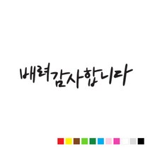 본투로드 초보 운전 스티커 캘리그라피 TYPE 5 배려 감사합니다, 노랑, 1개