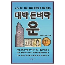 대박 돈벼락 운:누구나 1억 10억 100억 돈벼락 운 대박 재테크, BG북갤러리, 손재찬 저