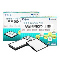 우진필터 차량용 뉴우진 미세먼지 에어컨 히터 필터 M, h10, 2개입