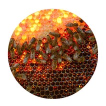 스윗리빙 3D 허니비 원형 발매트, 01, 1개