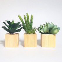 프로방스코리아 원목 사각 다육이 3p 세트 대, 혼합 색상, 1세트