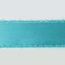 패션포인트 주자샤넬 SATIN CHANEL 바이어스테이프 50야드 25mm, NO.10, 1개