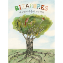 수상한 나무들이 보낸 편지:, 바다는기다란섬