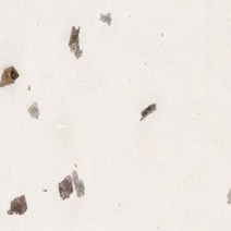 한지로 A4 OA 꽃보라 한지 210 x 297 mm 36g 15p, 12 연옥색, 2개