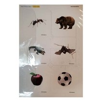 Super Phonics 1 Cards, 투판즈