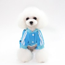펫츠랜드 강아지용 해적고양이 올인원, 스카이블루