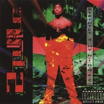 2PAC - STRICTLY 4 MY N.I.G.G.A.Z... 미국수입반, 1CD