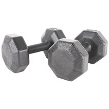 아리프 다이나믹 옥타곤 아령, 5kg, 2개입