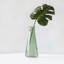 블루밍앤미 조화 몬스테라 clean 유리병 그린유리병 2p 세트, 혼합 색상