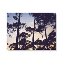리틀하이커 Tree 캔버스 프린팅 액자A3W36 25