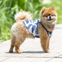올치 바캉스 야자수 티셔츠, 블루