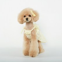 유노펫 미엘 썬 드레스, LEMON