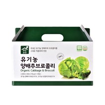 맑은농장 유기농 양배추브로콜리 혼합즙, 80ml, 30개