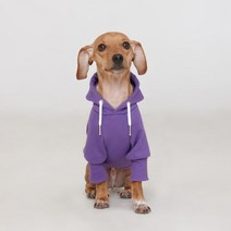 플로트 강아지 스탠다드후드, 퍼플