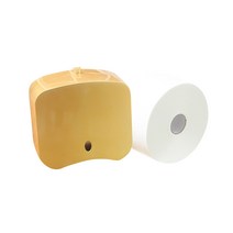 모닝듀 가정용 미니 점보롤 휴지 100m + 골드 케이스, 1세트