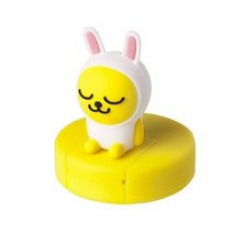 카카오프렌즈 KF 피규어 USB 32G, KFUSB-32M-001, 무지