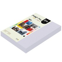 종이문화 프린트 프로 칼라복사지 No.20 라일락 80g, B4, 340개