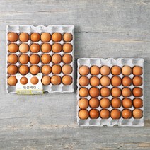 달걀 판매순위 가격비교 리뷰