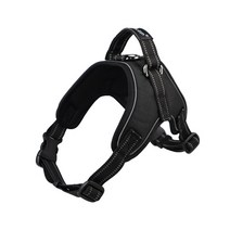 케어펫 강아지 야광 하네스 M + 리드줄, 1세트, 블랙(벨트타입)