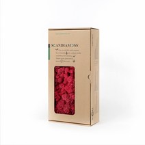 스칸디아모스 이끼 RM500 씨클라멘 500g, 1개